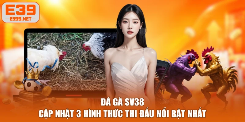 Đá Gà SV38 - Cập Nhật 3 Hình Thức Thi Đấu Nổi Bật Nhất